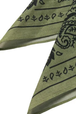 Bandana Paisley
