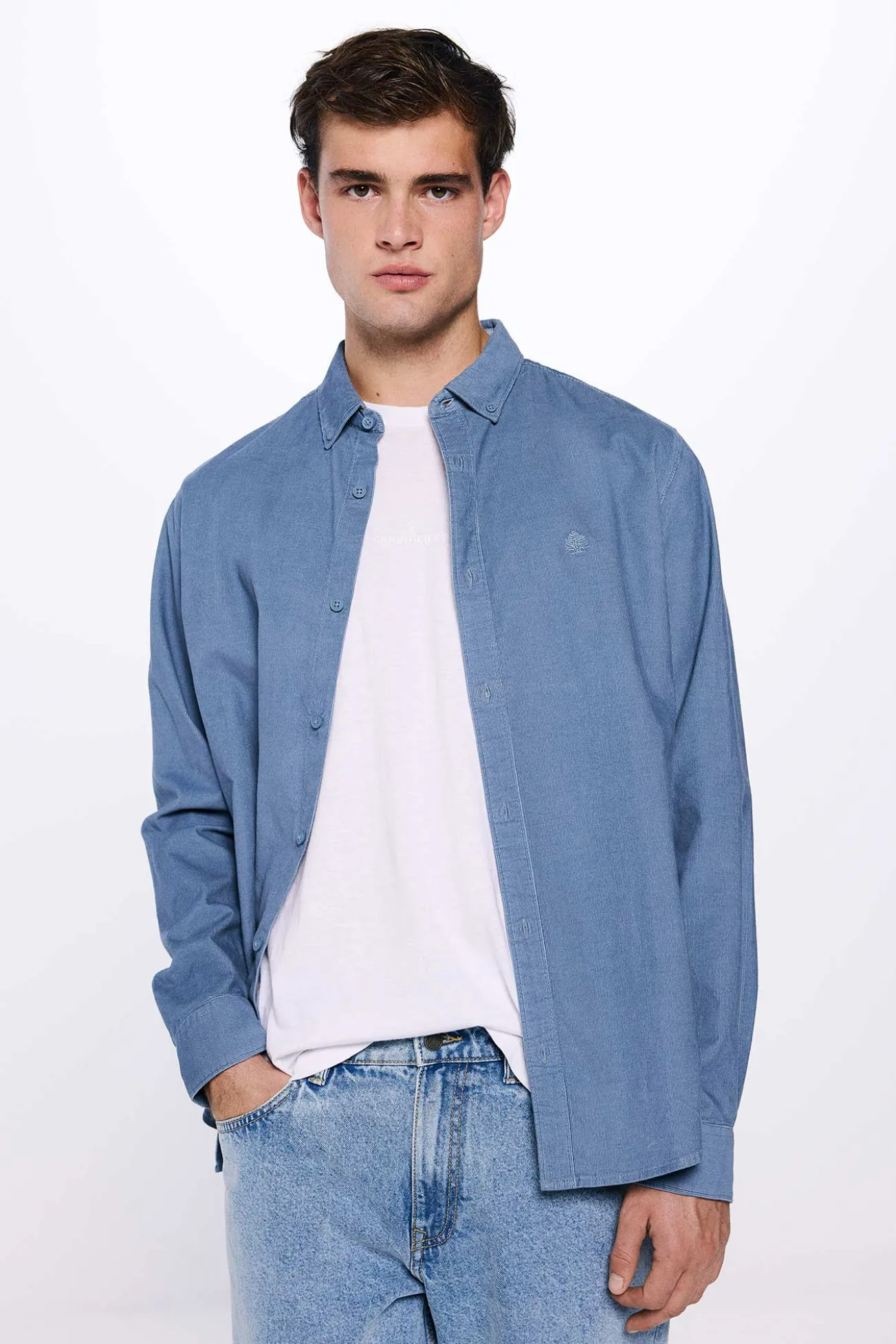 Camisa de veludo