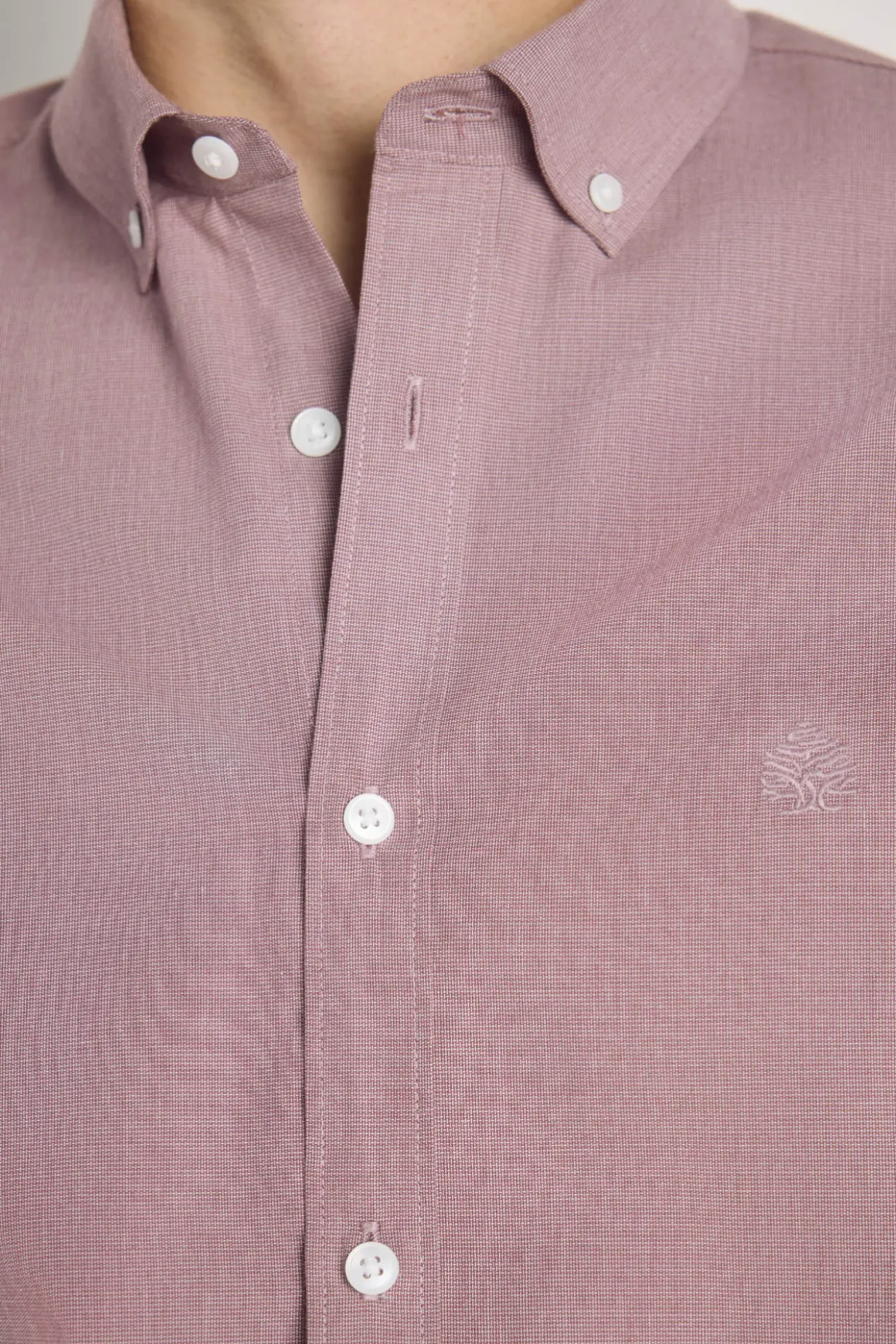 Camisa lisa de manga curta