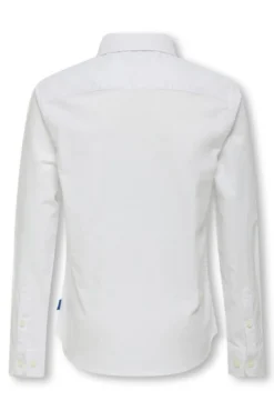 Camisa Oxford Slim Fit