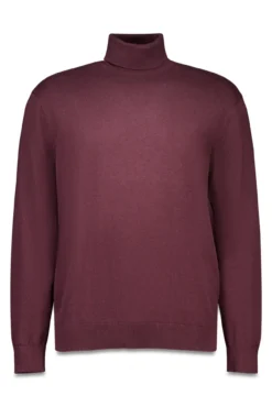 Camisola básico de gola
