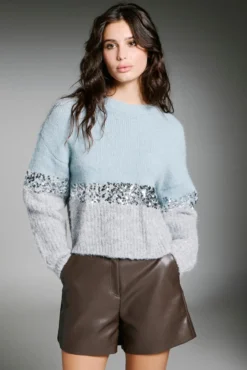 Camisola de lantejoulas
