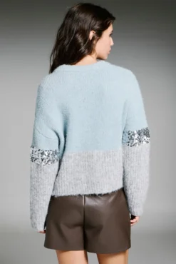 Camisola de lantejoulas