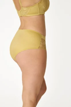 Cueca clássica cintura alta em renda floral