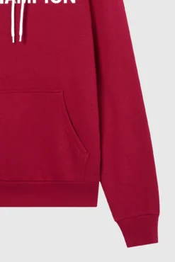 Sweatshirt capuz