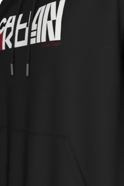 Sweatshirt capuz
