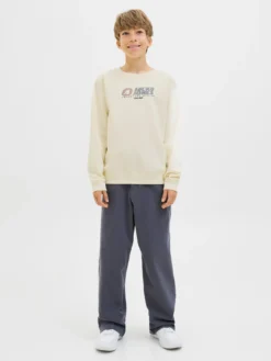 Sweatshirt de regular fit