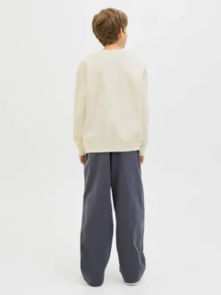 Sweatshirt de regular fit