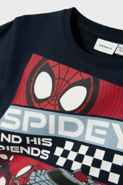 Sweatshirt do Aranha