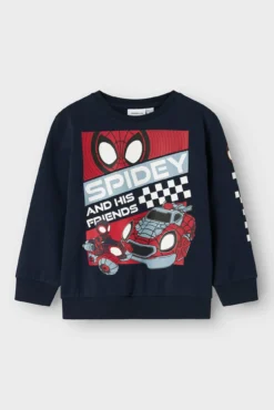 Sweatshirt do Aranha