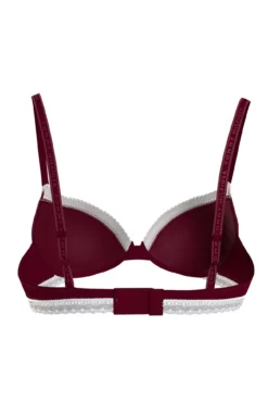 Tanga de renda Intrinsic