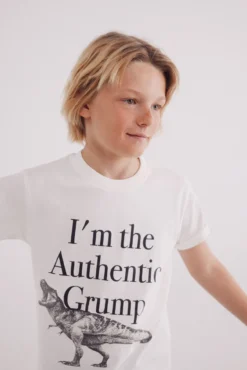 T-shirt de dinossauro para menino
